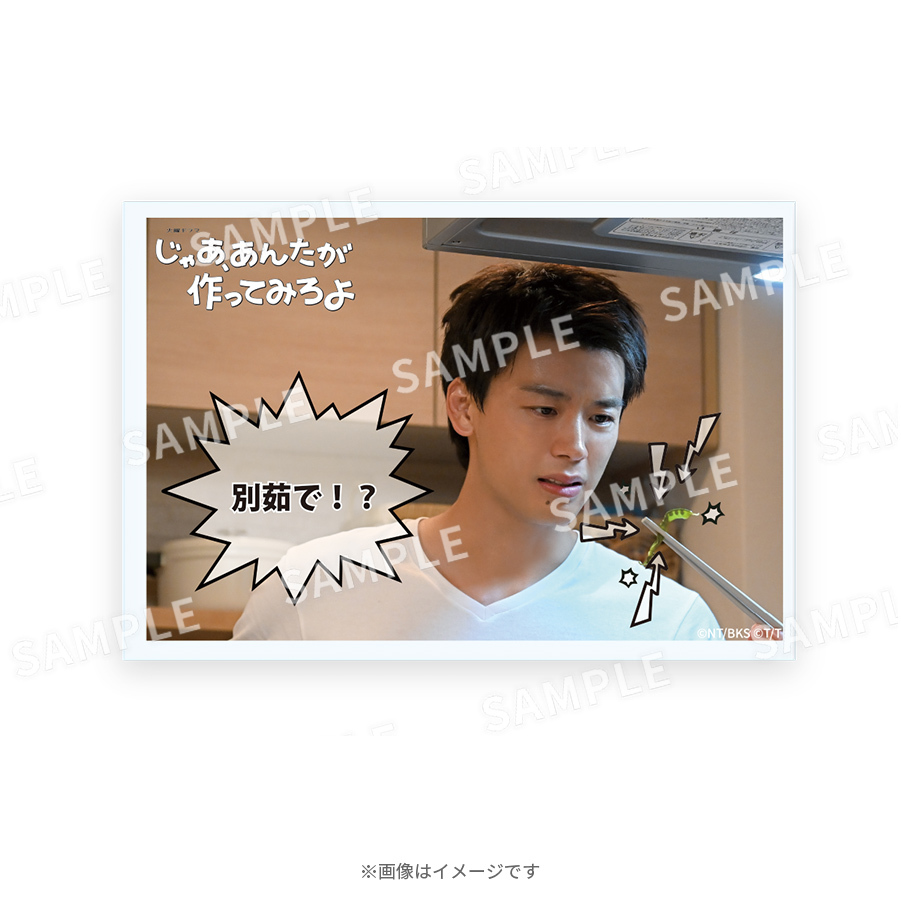 火曜ドラマ「じゃああんたが作ってみろよ」 勝男トレーディングマグネット(全10種)