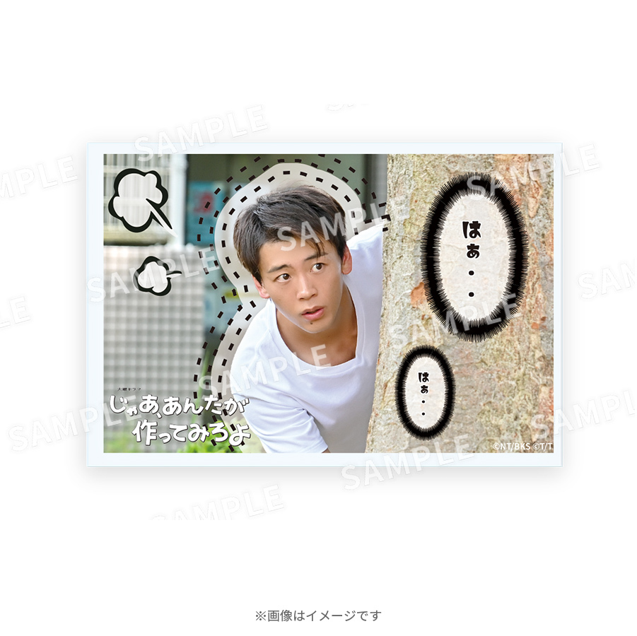 火曜ドラマ「じゃああんたが作ってみろよ」 勝男トレーディングマグネット(全10種)